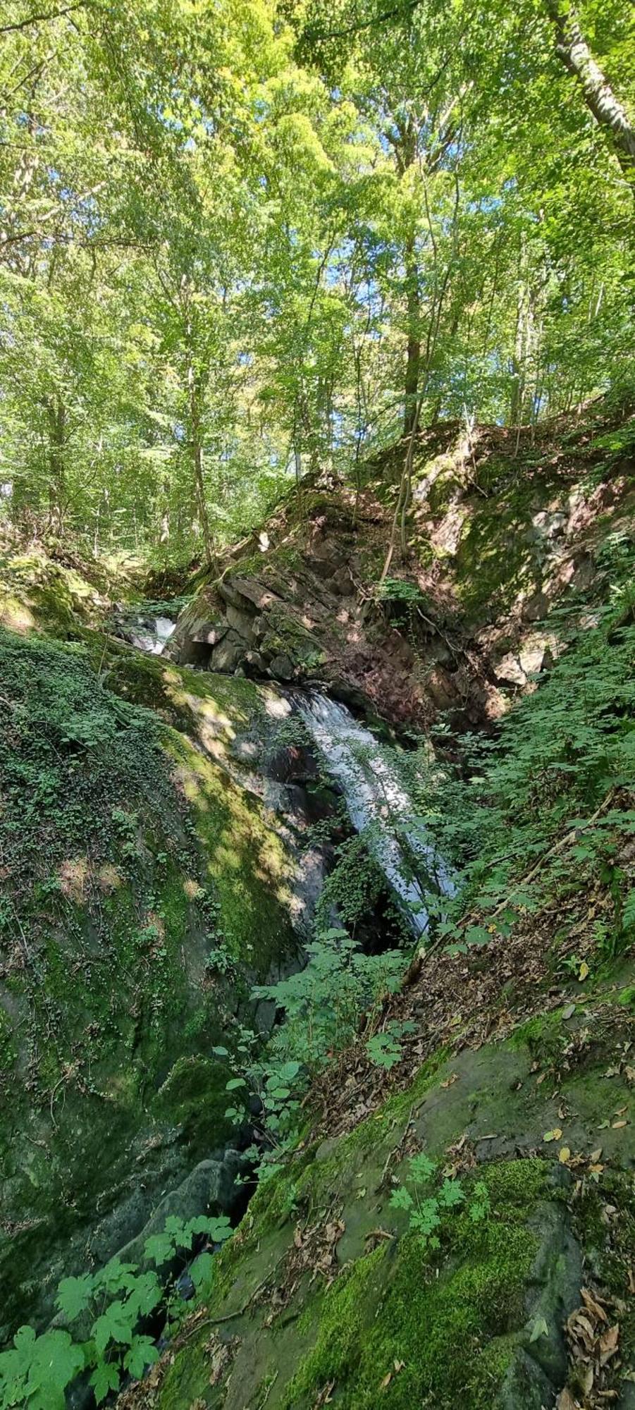 Ferienwohnung Zum Hirschen Herzberg am Harz Buitenkant foto